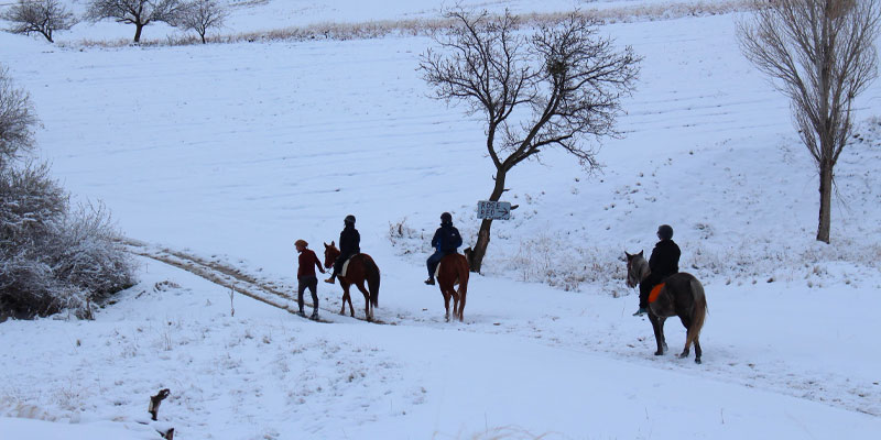 Tour a Cavallo Invernale